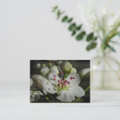 Bradford Pear Blossom ATC-fotokaart Visitekaartje (Staand voorkant)
