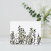 Bradford Pear Blossom Briefkaart (Staand voorkant)