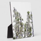 Bradford Pear Blossom Fotoplaat (Zijkant)