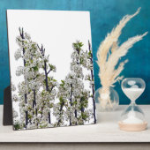 Bradford Pear Blossom Fotoplaat (Zijkant)