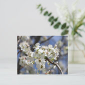 BRADFORD PEAR BLOSSOMS BRIEFKAART (Staand voorkant)