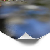 BRADFORD PEAR BLOSSOMS PERFECT POSTER (Hoek)