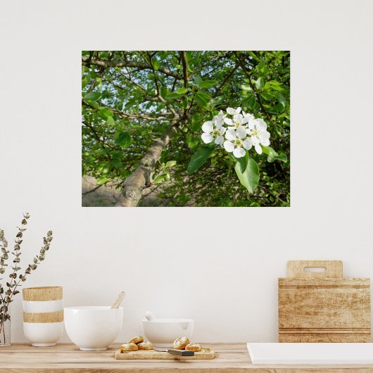 Bradford Pear tree - Poster (Keuken)
