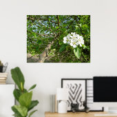 Bradford Pear tree - Poster (Thuiskantoor)