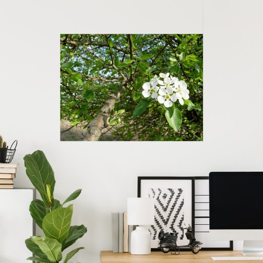 Bradford Pear tree - Poster (Thuiskantoor)