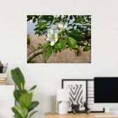 Bradford Pear tree - Poster (Thuiskantoor)