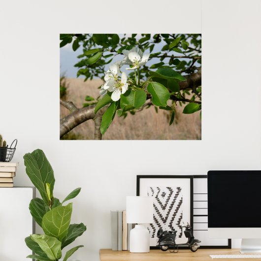 Bradford Pear tree - Poster (Thuiskantoor)