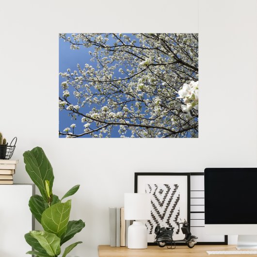 Bradford Pear Tree - Poster (Thuiskantoor)
