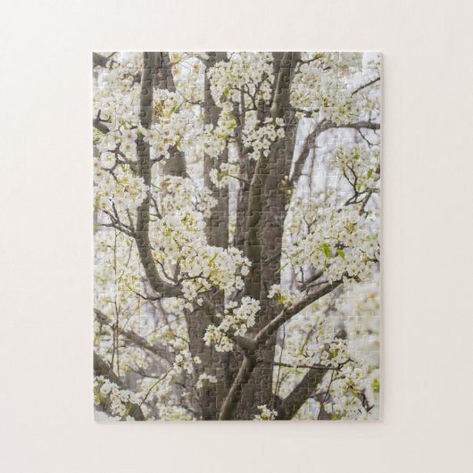 Bradford Pear Tree White Spring Floral Natuur Legpuzzel (Verticaal)