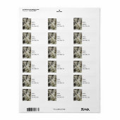 Bradford Select Focus Address Label (Full Sheet)