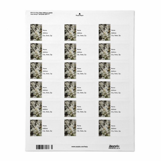 Bradford Select Focus Address Label (Full Sheet)