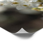 Bradford Select Focus Poster (Hoek)