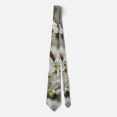 Bradford Select Focus-Stropdas Stropdas (Voorkant)