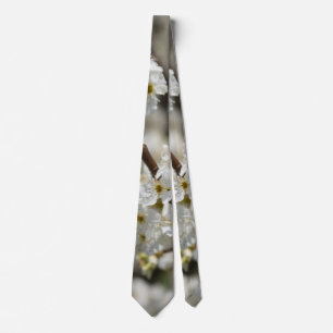 Bradford Select Focus-Stropdas Stropdas