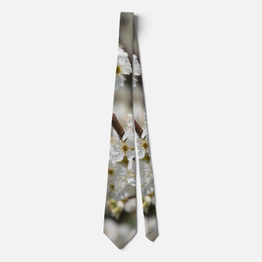 Bradford Select Focus-Stropdas Stropdas (Voorkant)