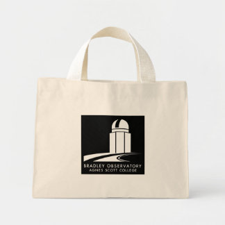 Bradley Observatory Canvas tas