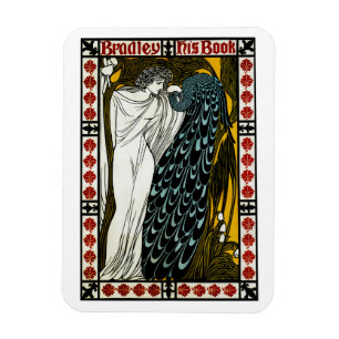 Bradley: Zijn boek Magneet