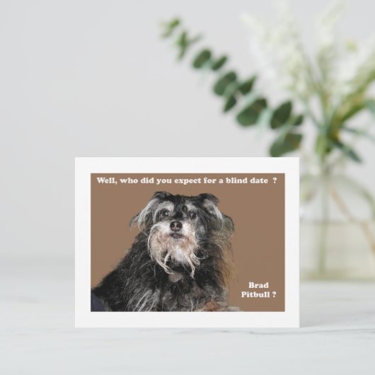 bradpitbull briefkaart (Staand voorkant)