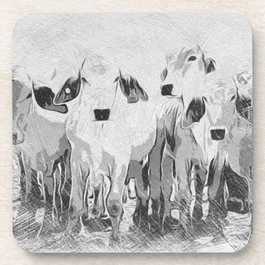 Brah-avo Set van 6 Onderzetters (Voorkant)