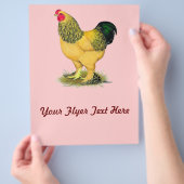 Brahma: Buff Kip Flyer (Hand)