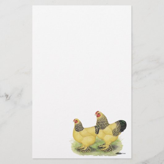 Brahma Buff Pair Briefpapier (Voorkant)
