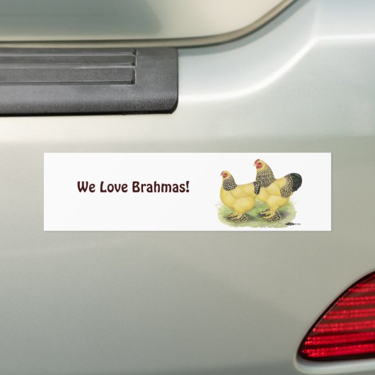 Brahma Buff Pair Bumpersticker (Op auto)
