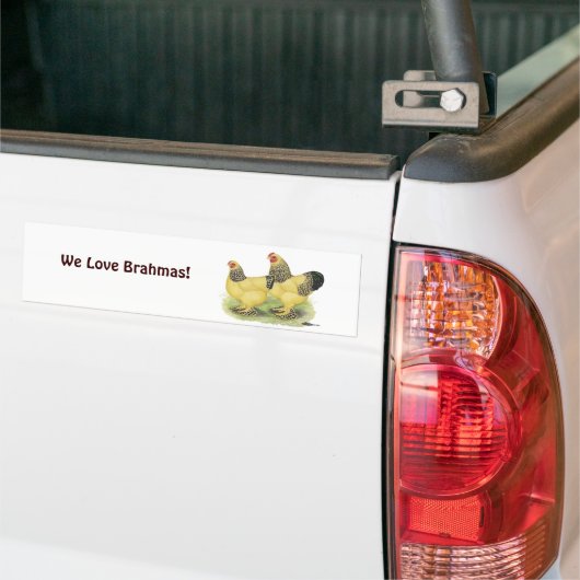 Brahma Buff Pair Bumpersticker (Op Truck)