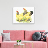 Brahma Buff Pair Canvas Afdruk (Insitu (Woonkamer))