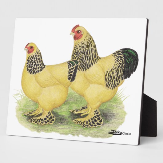 Brahma Buff Pair Fotoplaat (Zijkant)