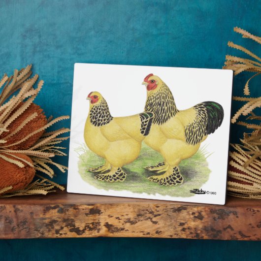 Brahma Buff Pair Fotoplaat (Zijkant)