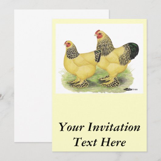 Brahma Buff Pair Kaart (Voorkant / Achterkant)