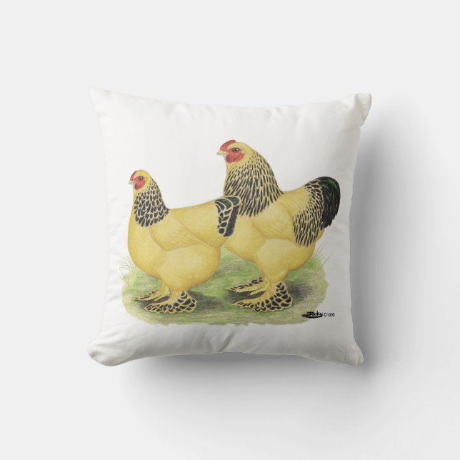 Brahma Buff Pair Kussen (Voorkant)