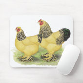 Brahma Buff Pair Muismat (Met muis)