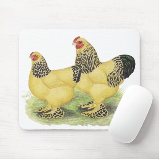 Brahma Buff Pair Muismat (Met muis)