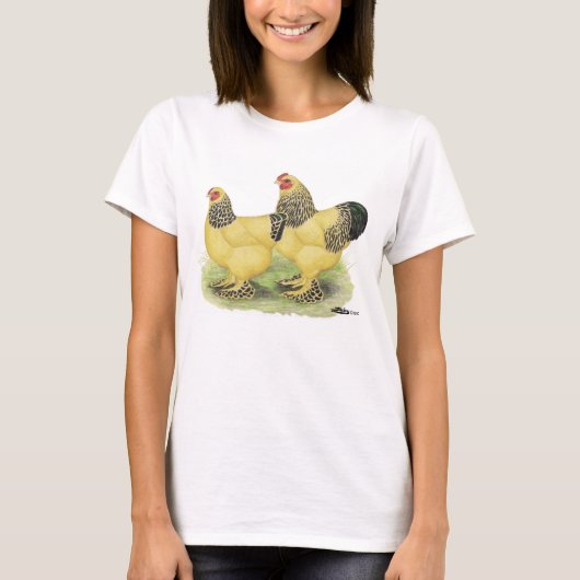Brahma Buff Pair T-shirt (Voorkant)