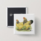 Brahma Buff Pair Vierkante Button 5,1 Cm (Voorkant /achterkant)