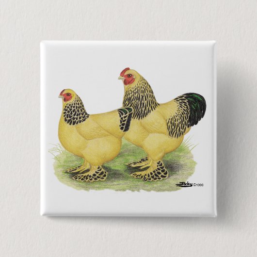 Brahma Buff Pair Vierkante Button 5,1 Cm (Voorkant)