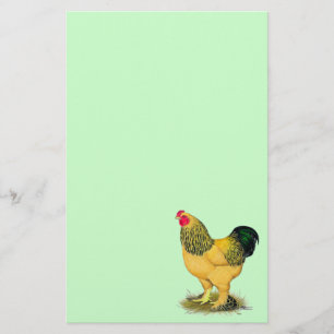 Brahma: Buff Rooster Briefpapier