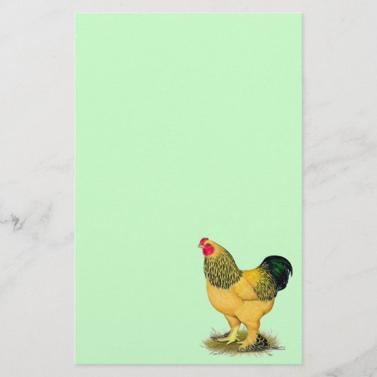 Brahma: Buff Rooster Briefpapier (Voorkant)