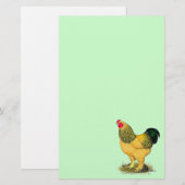 Brahma: Buff Rooster Briefpapier (Voorkant / Achterkant)
