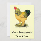 Brahma: Buff Rooster Kaart (Voorkant)