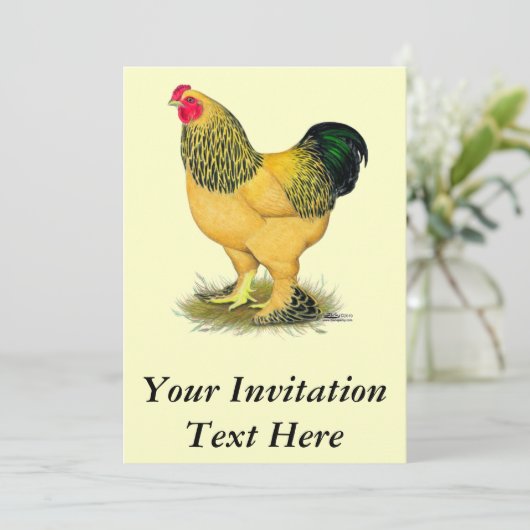 Brahma: Buff Rooster Kaart (Staand voorkant)