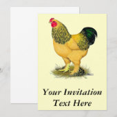 Brahma: Buff Rooster Kaart (Voorkant / Achterkant)