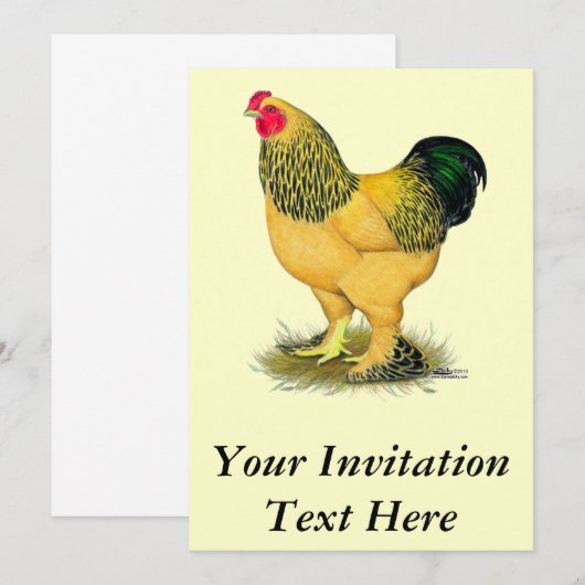 Brahma: Buff Rooster Kaart (Voorkant / Achterkant)