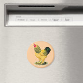 Brahma: Buff Rooster Magneet (Insitu (Vaatwasser))