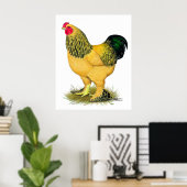 Brahma: Buff Rooster Poster (Thuiskantoor)