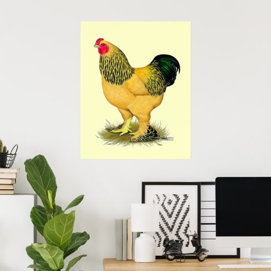 Brahma: Buff Rooster Poster (Thuiskantoor)