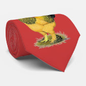 Brahma:  Buff Rooster Stropdas (Opgerold)