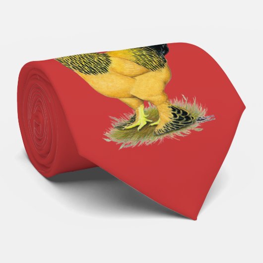 Brahma:  Buff Rooster Stropdas (Opgerold)