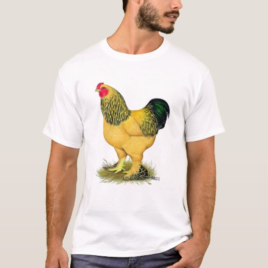 Brahma: Buff Rooster T-shirt (Voorkant)